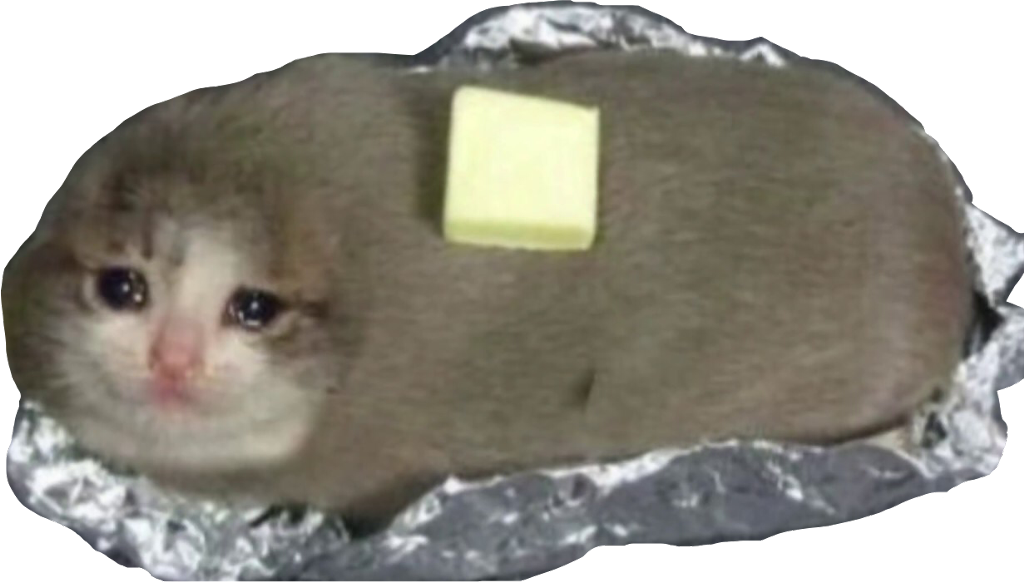Cat Burrito Meme PNG