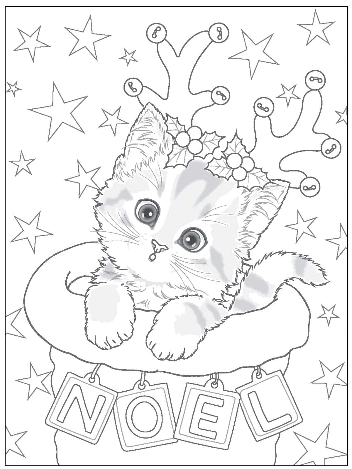 Cat Coloring Named Noel Pictures