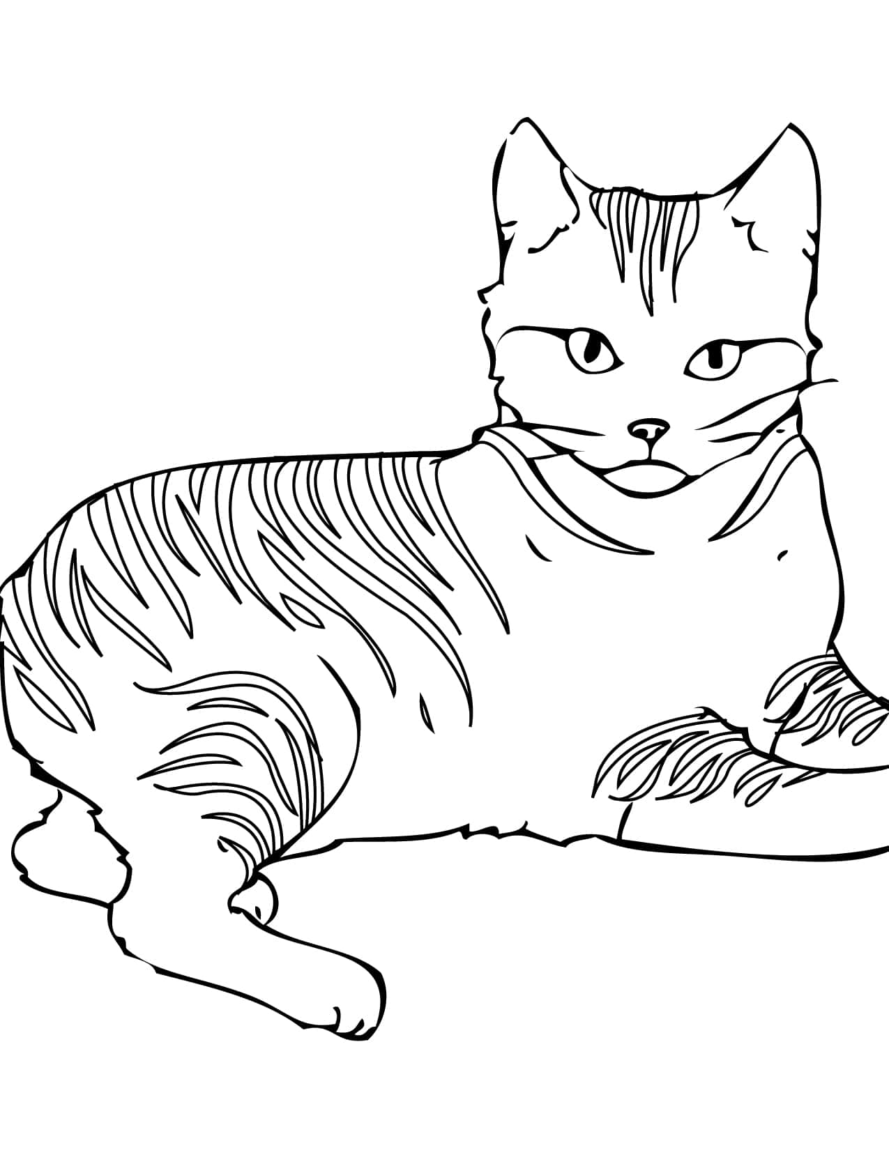 Tiger Stripes Cat Coloring Pictures