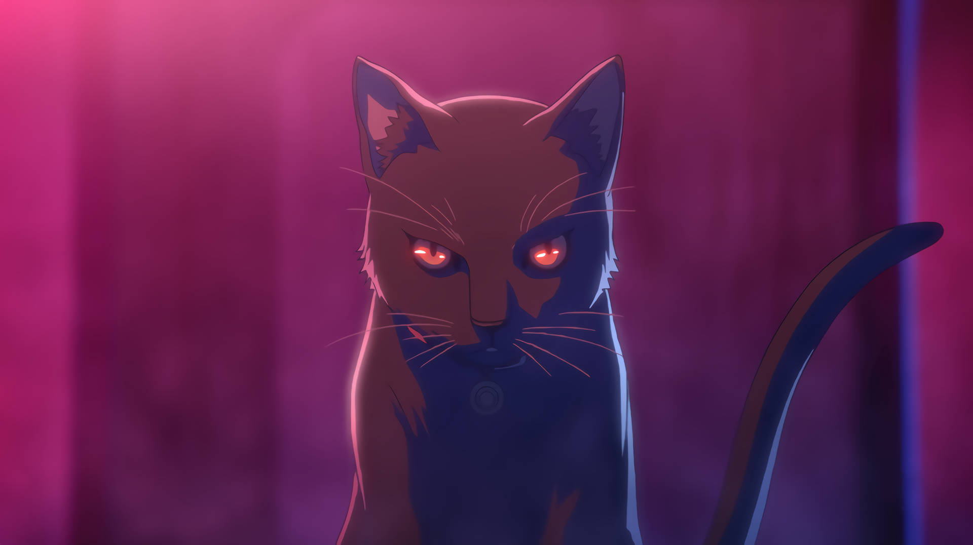 Cat Computer Black Anime