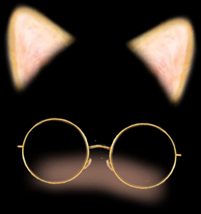 Cat Earsand Glasses Snapchat Filter PNG