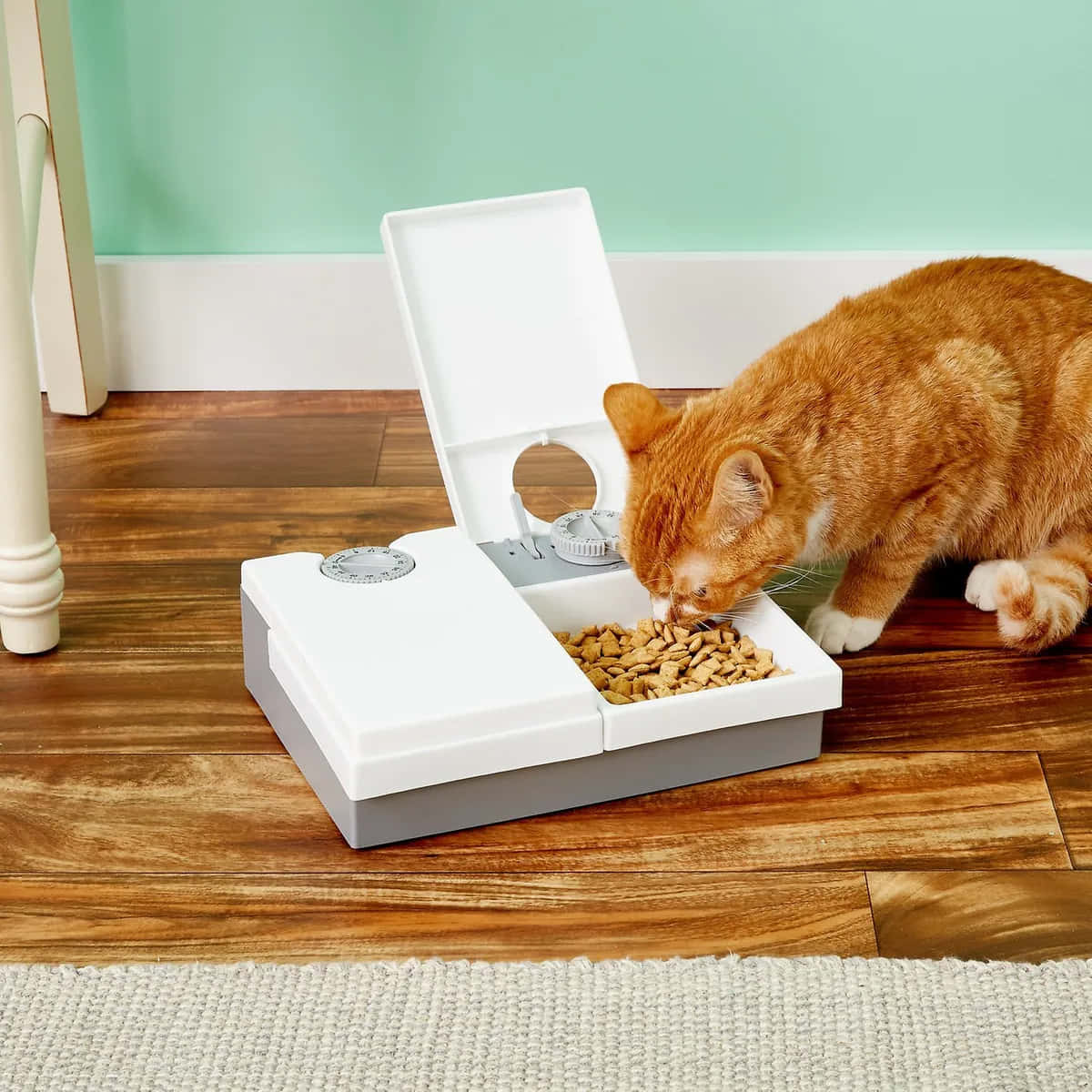 Cat Eating From Automatic Feeder Wallpaper