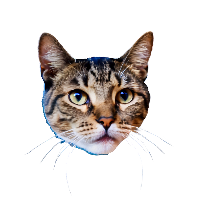 Cat Face In Space Png 51 PNG