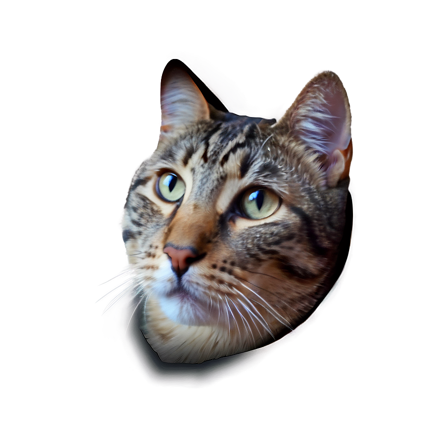 Cat Face In Space Png 95 PNG