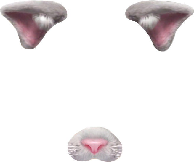 Cat Face Parts Transparent Background PNG