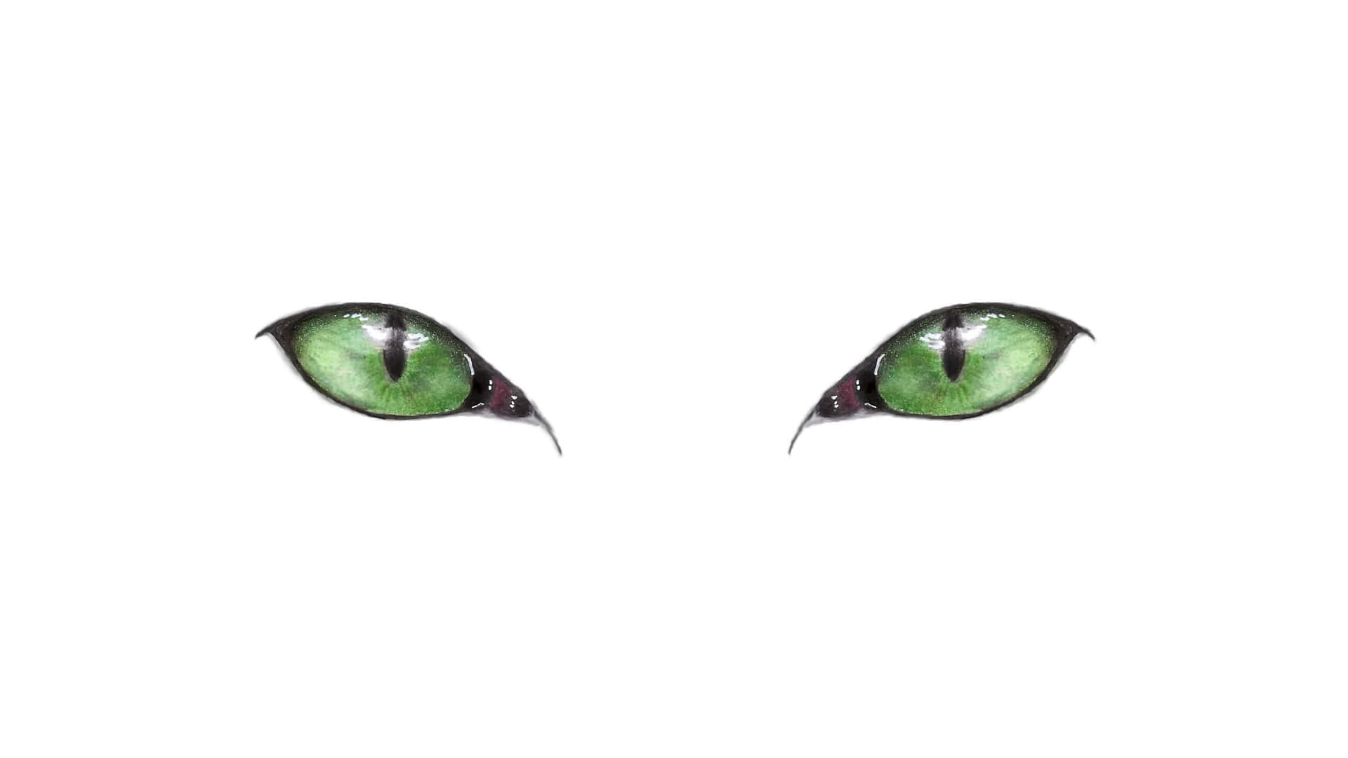 Cat Green Eyes Digital Illustration Wallpaper