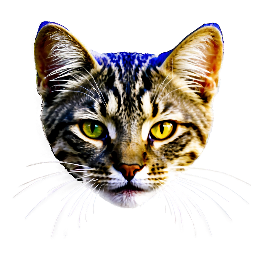 Cat Head C PNG