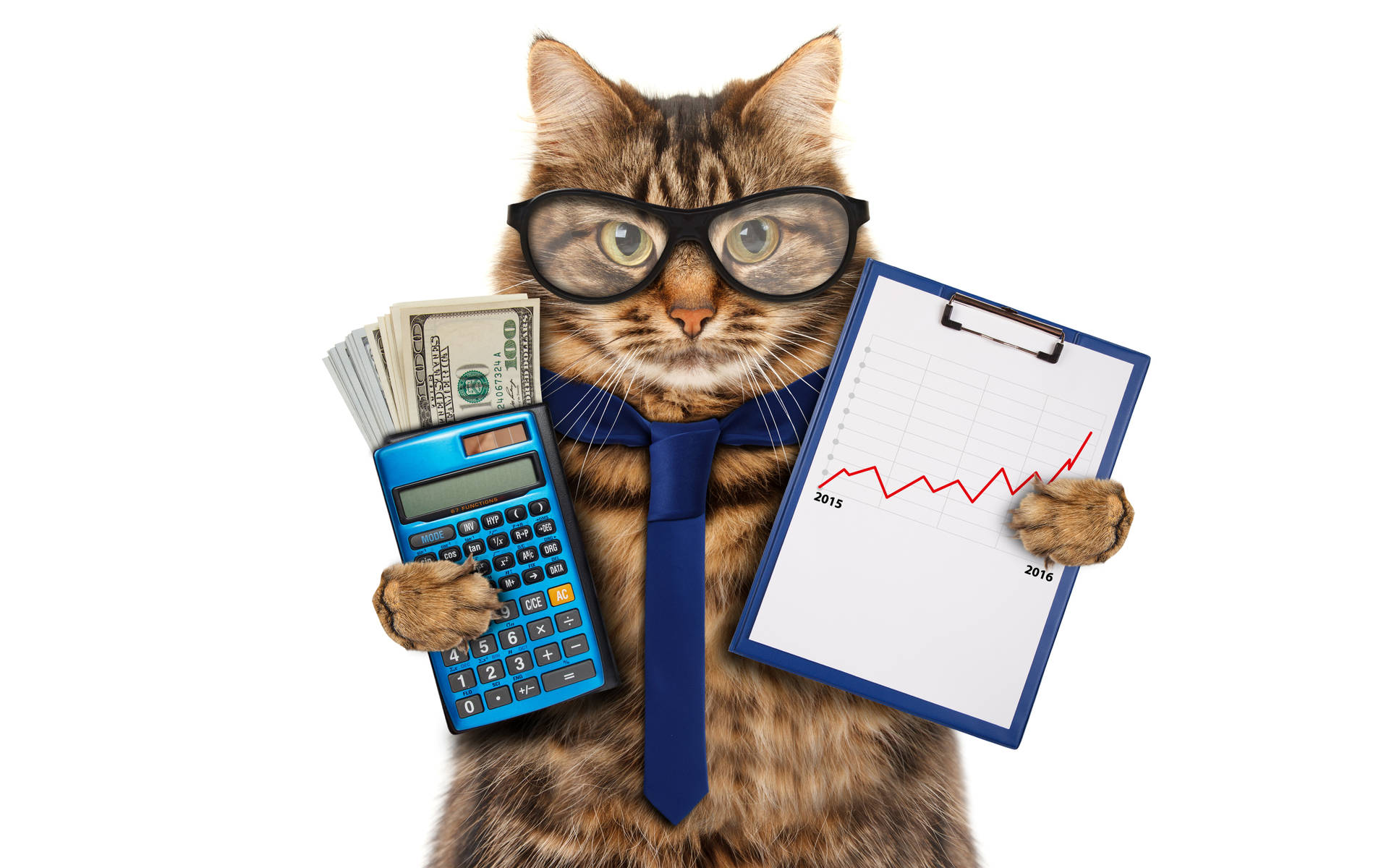 Gatto Che Tiene Una Calcolatrice Sfondo