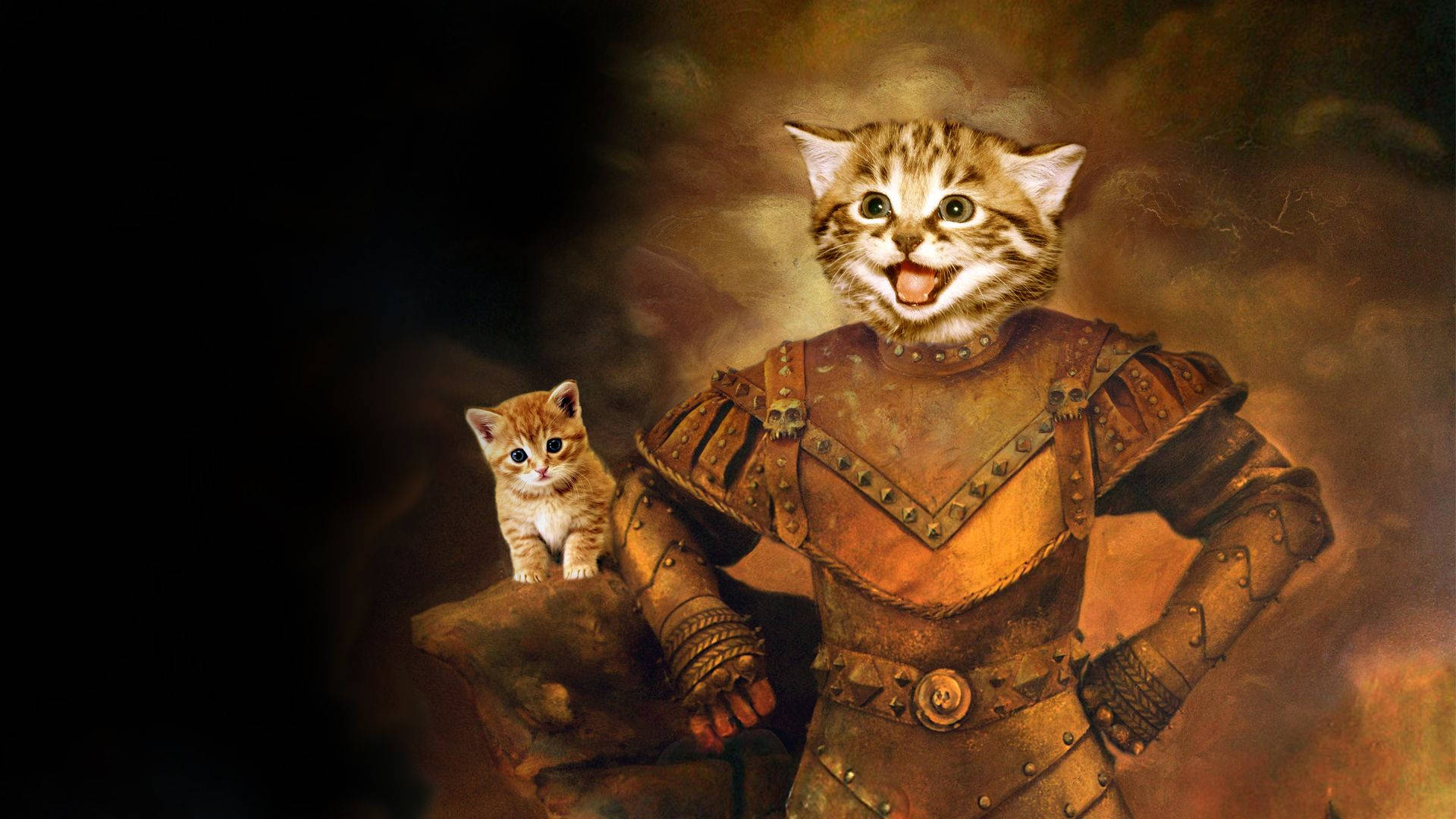 Cat Knight With Kitten Wallpaper