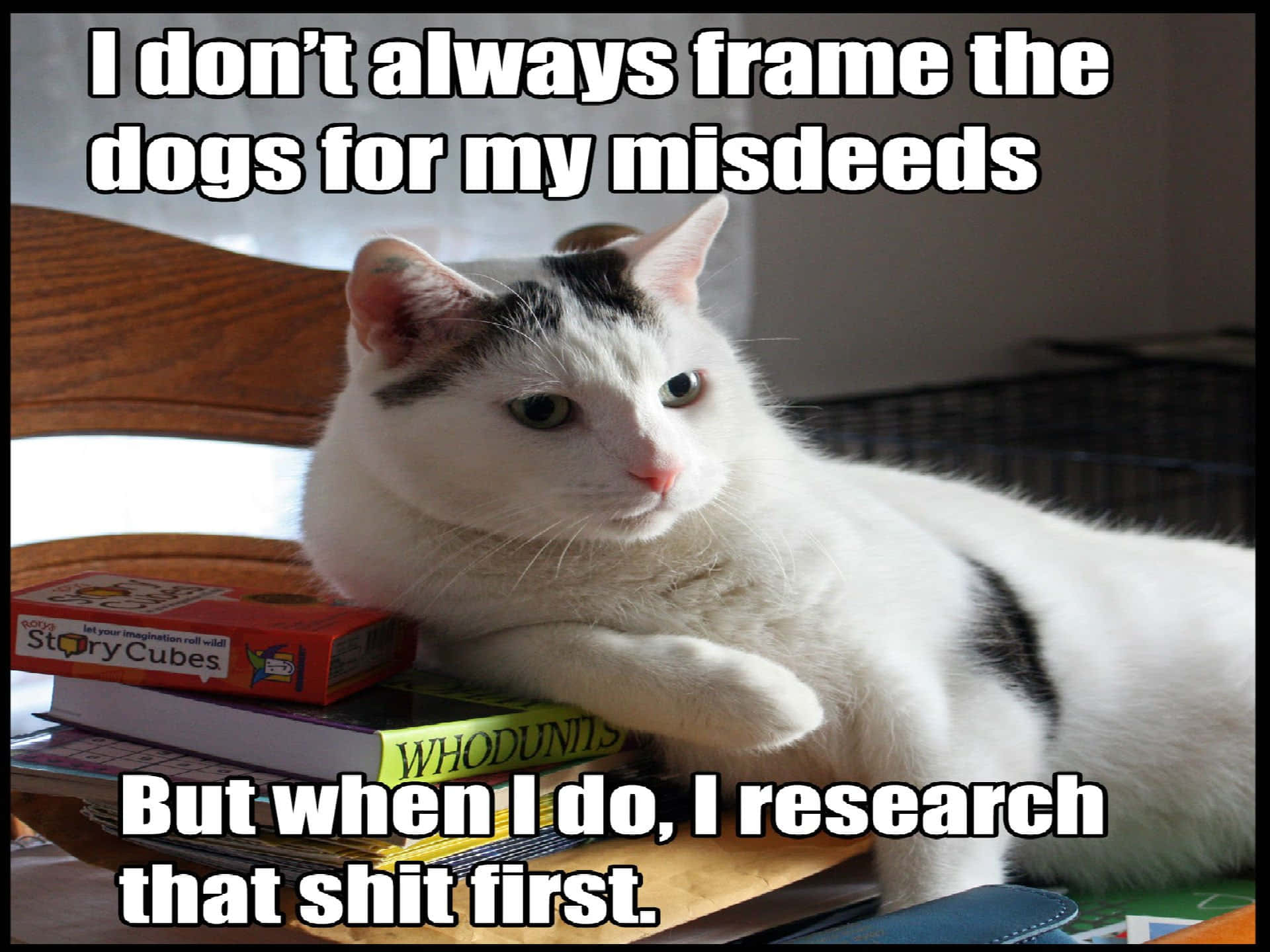 meme, memes and cat - image #6388486 on