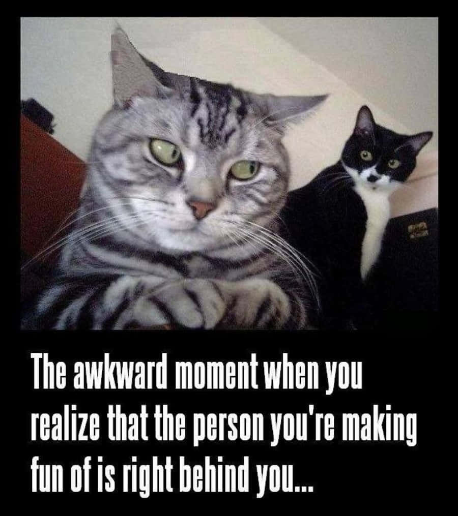 The Awkward Moment When You Realize The Person You're Making Fun Of Is Right Behind You