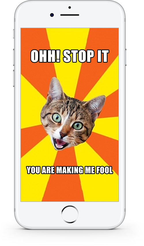 Cat Meme Ohh Stop It You Are Making Me Fool PNG