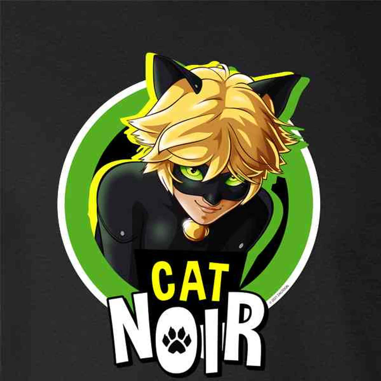 "Introducing Cat Noir - a modern twist on the classic heroes we have grown to love!"