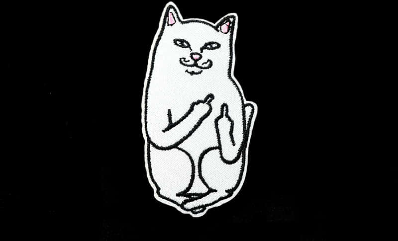 Cat Patch Giving Middle Finger PNG