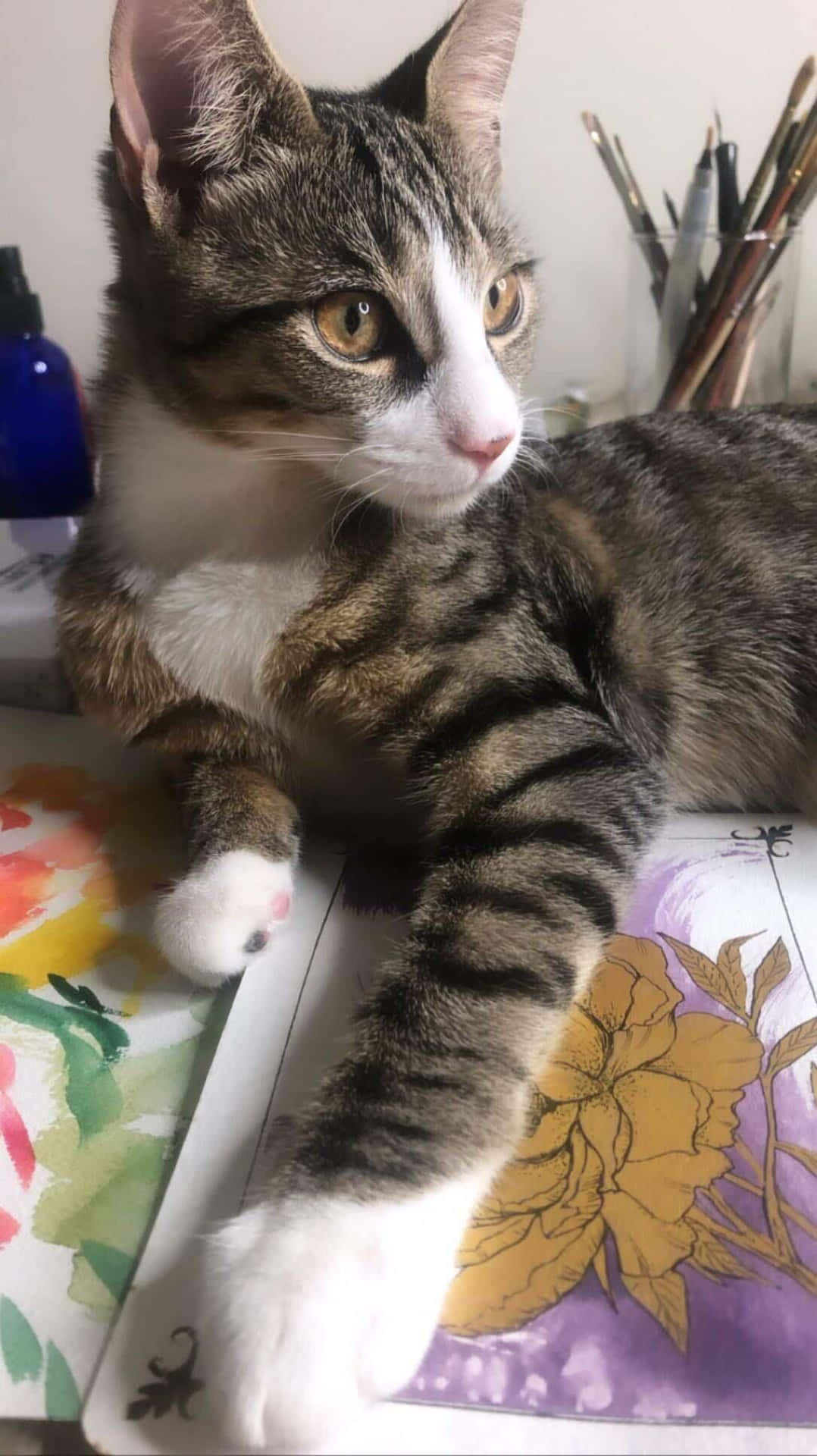 Cat Laying On Painting Picture