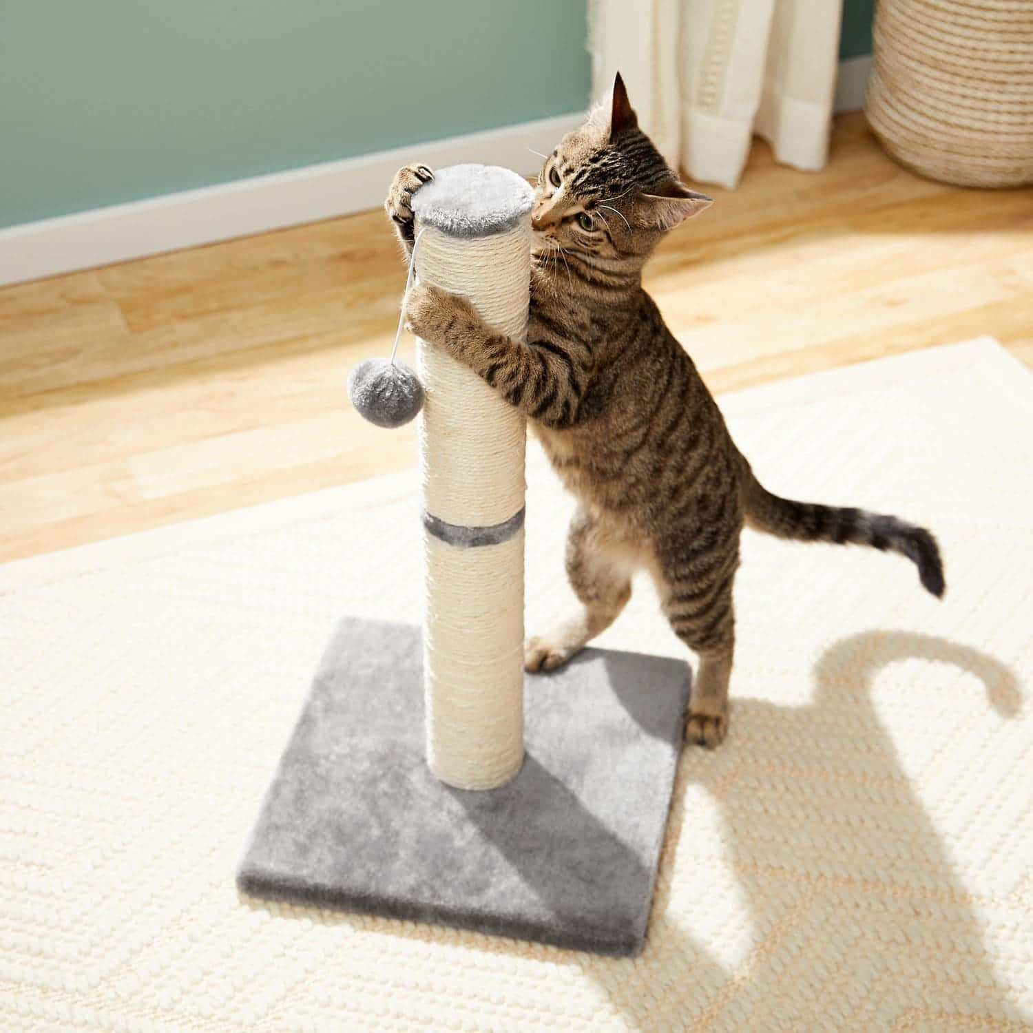 Playful Cat Enjoying a Durable Cat Scratching Post Wallpaper