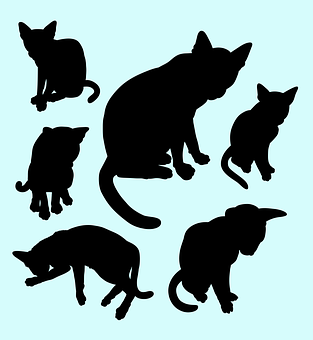 Cat Silhouettes Collection PNG