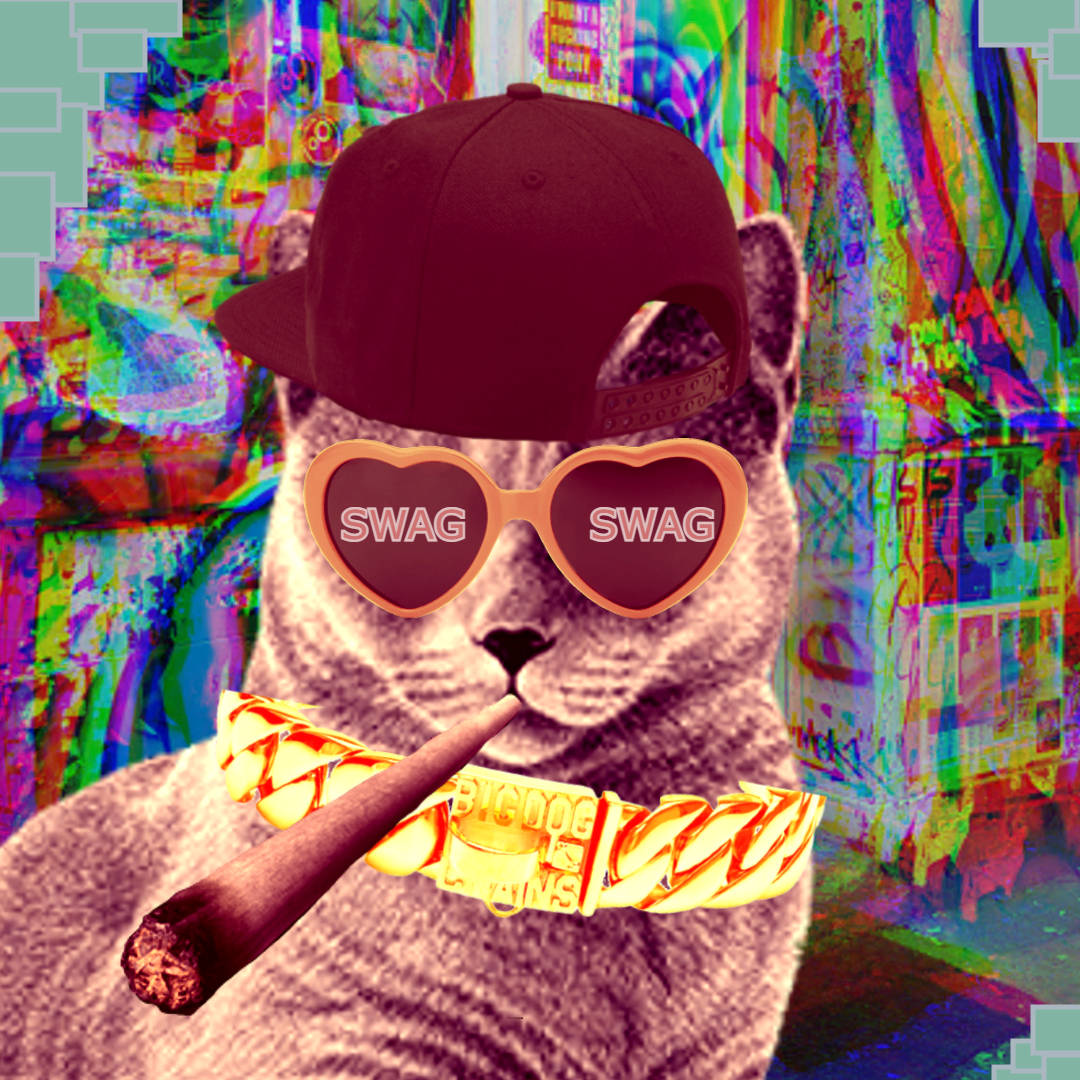 Cat Swag Wallpaper