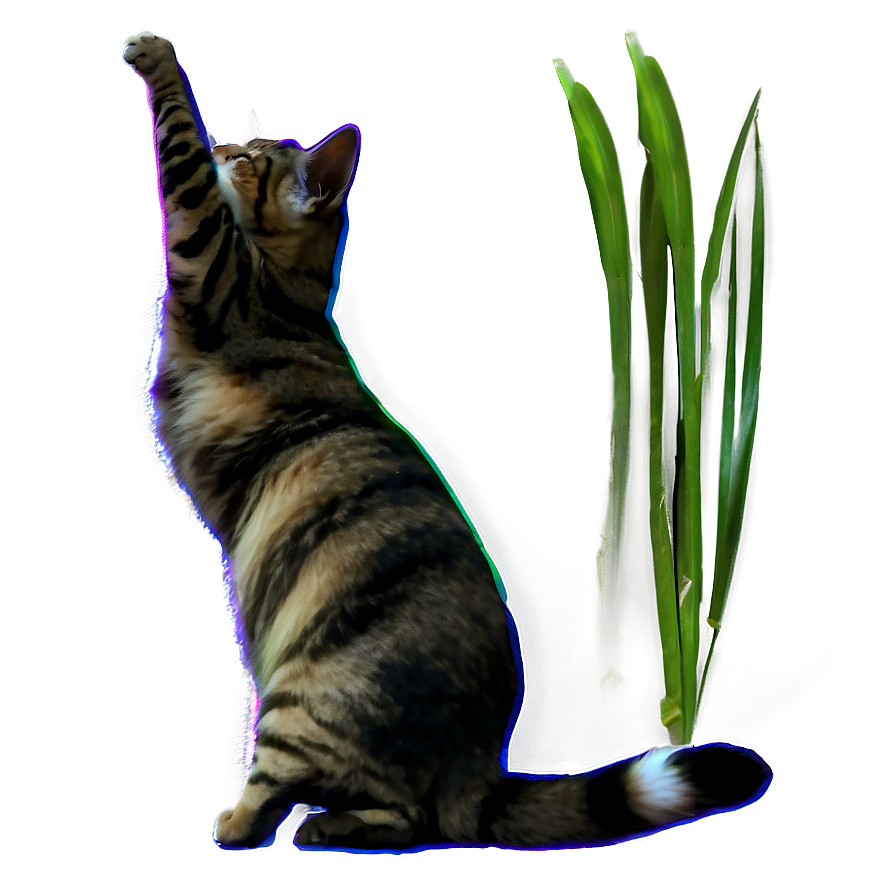 Cat Tail Movement Png D PNG