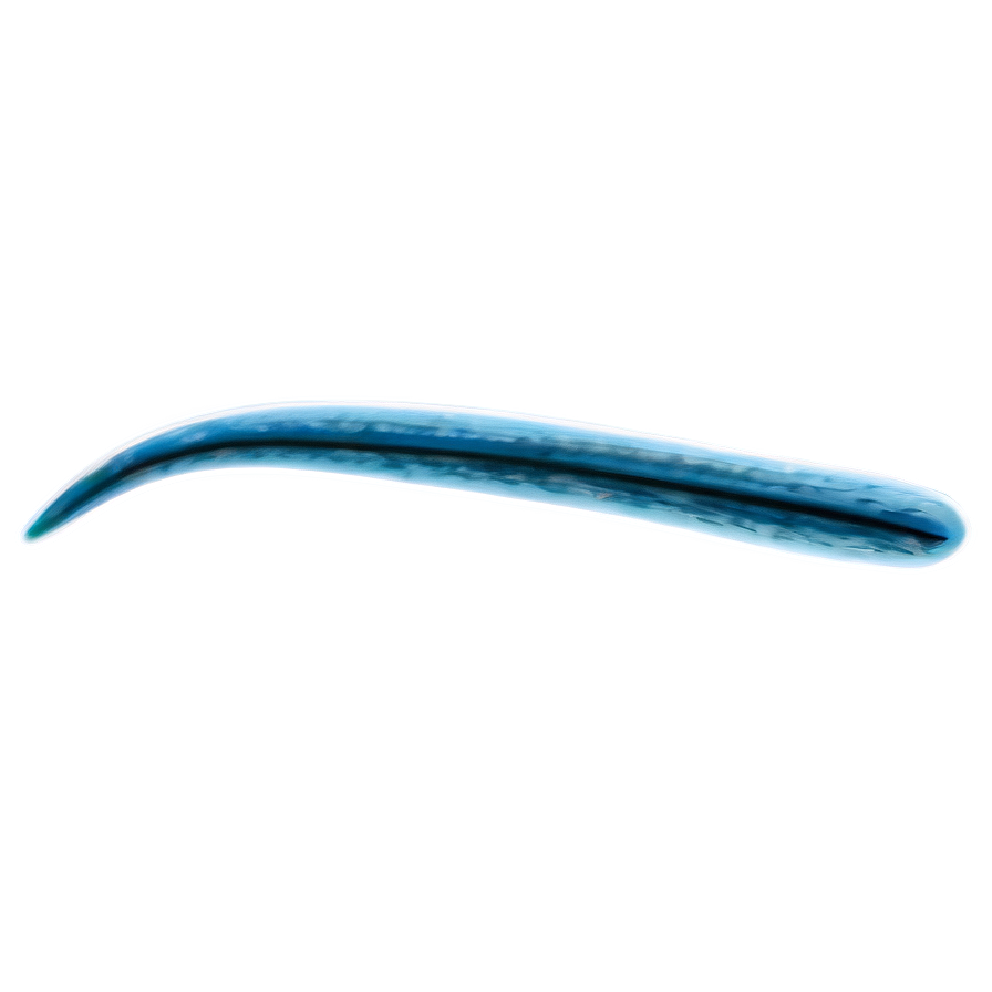 Cat Tail Png Yvd PNG