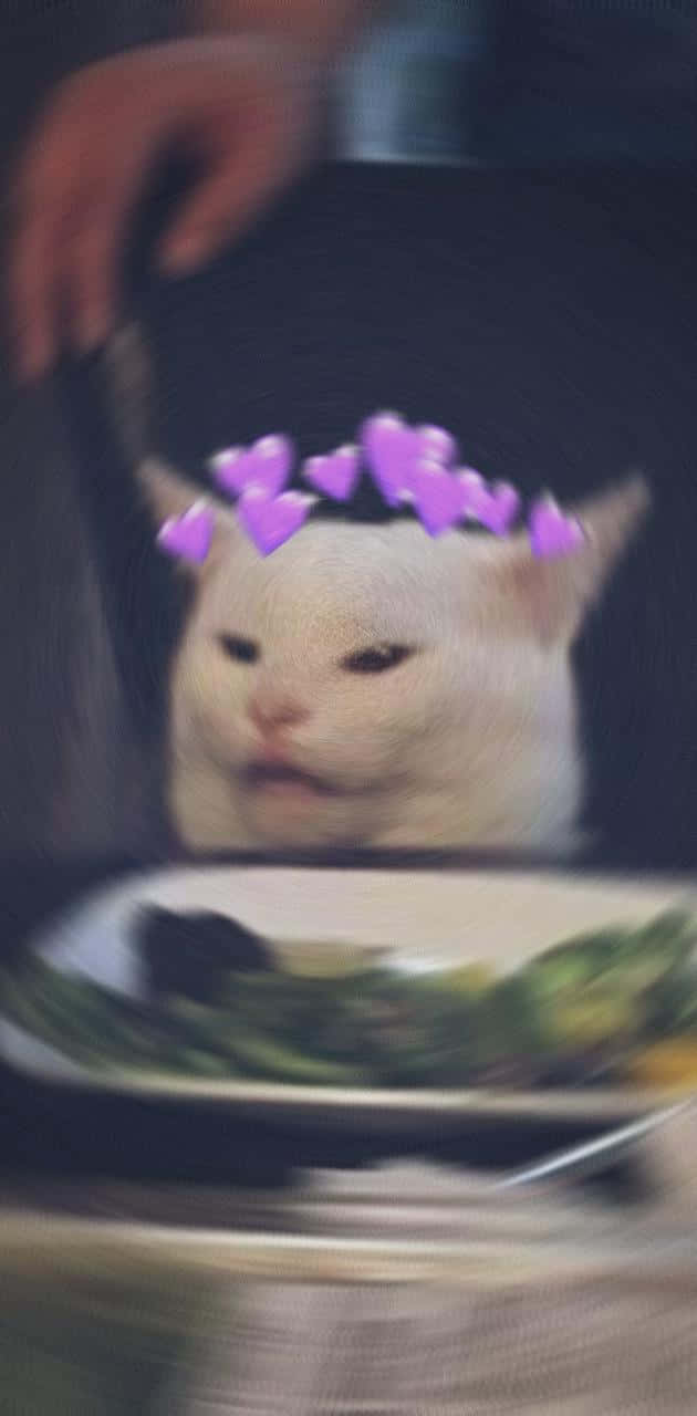 Cat_with_ Flower_ Crown_ Blur_ Effect.jpg Wallpaper