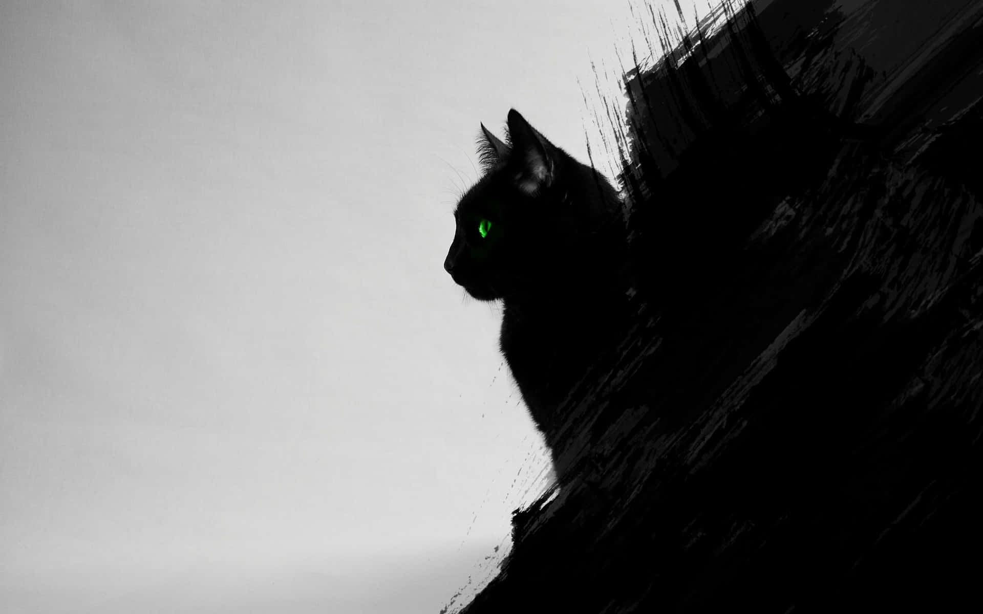 Cat With Green Eyes Digital Art Background