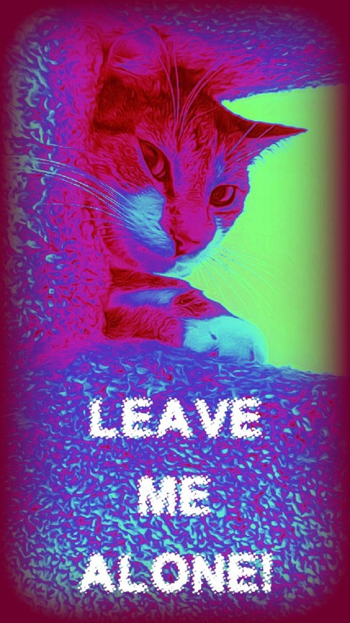 Cat With Leave Me Alone Text Wallpaper