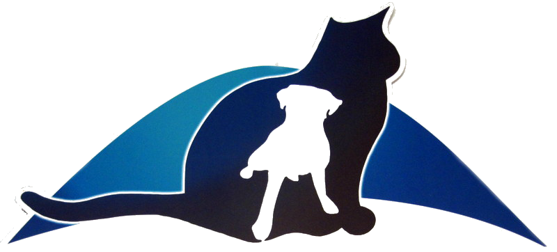 Catand Dog Silhouette PNG