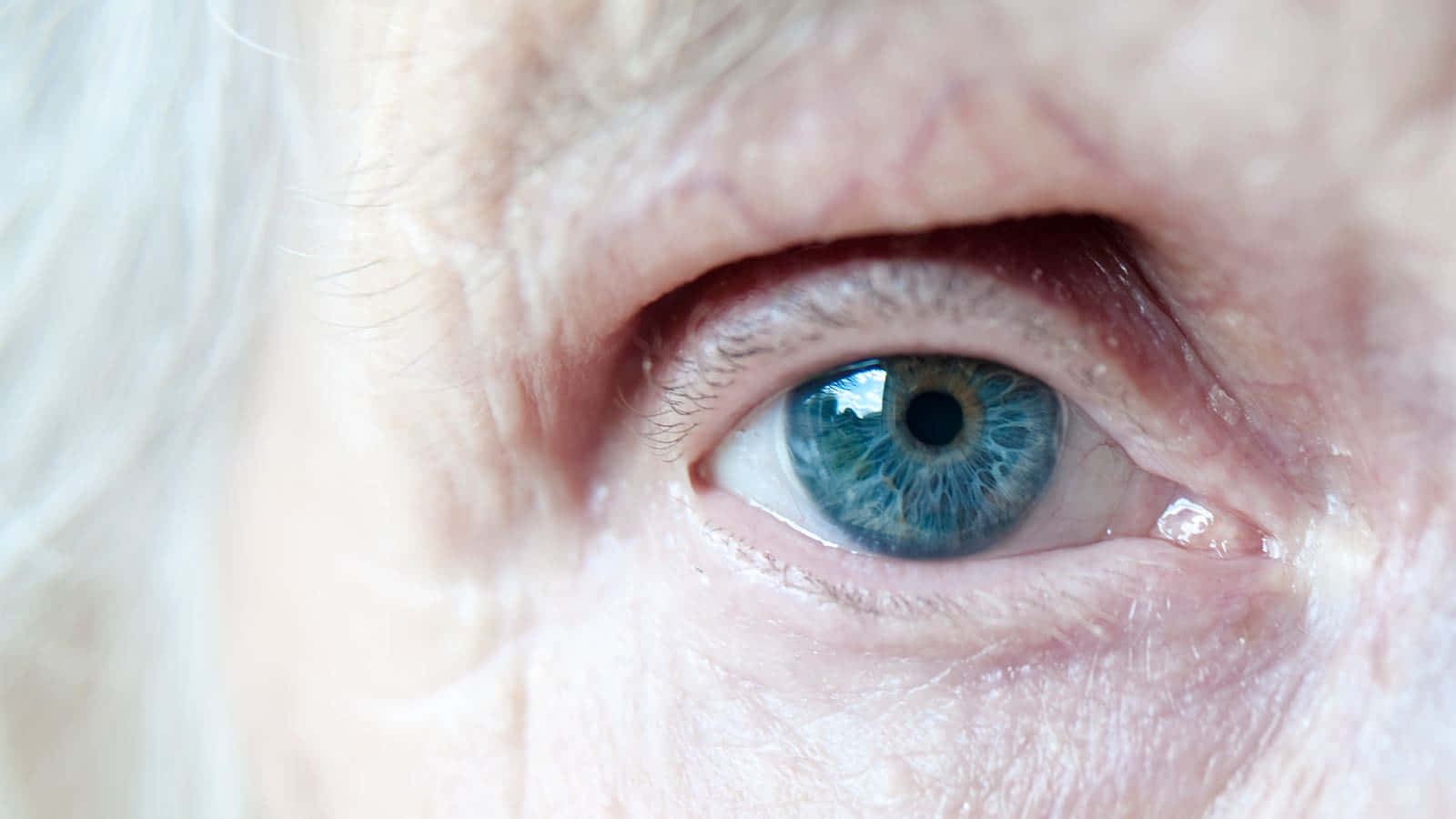 An Elderly Woman's Eye With Blue Eyes Wallpaper