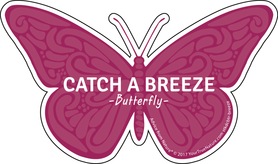 Catch A Breeze Butterfly Graphic PNG