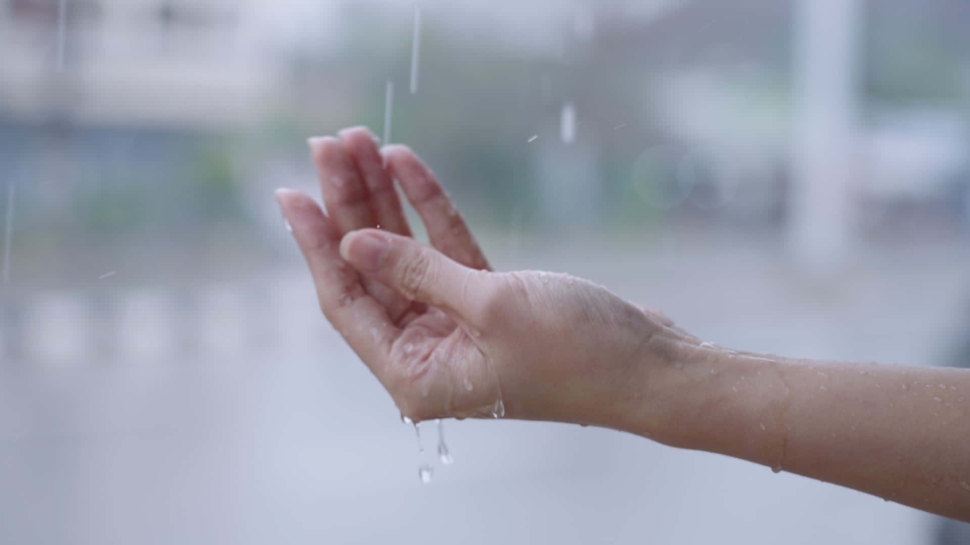 Catching Raindrops Hand H D Wallpaper