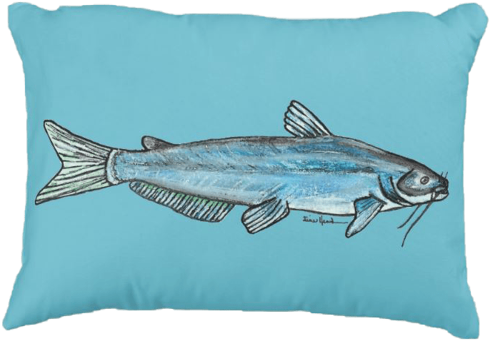 Catfish Illustration Cushion.png PNG