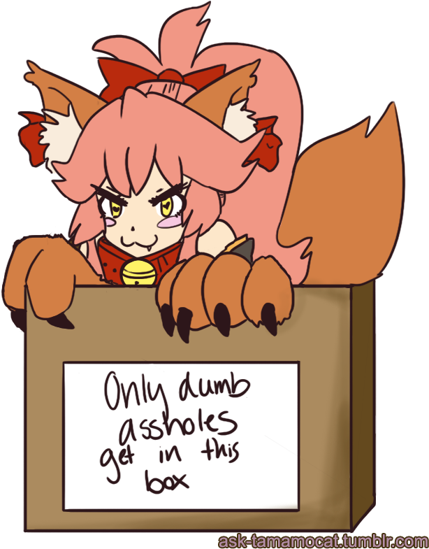 Catgirl In Box Meme PNG