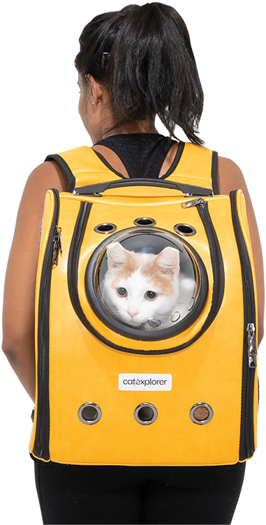 Catin Backpack Window PNG