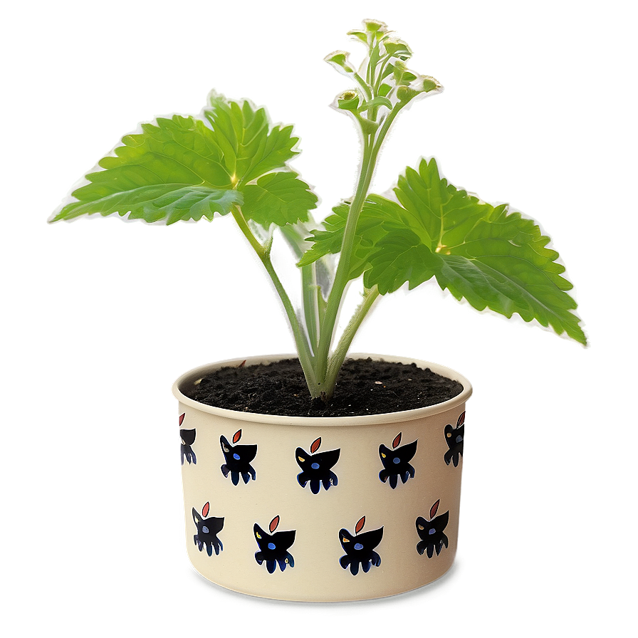 Catnip Growing Kit Png 06242024 PNG