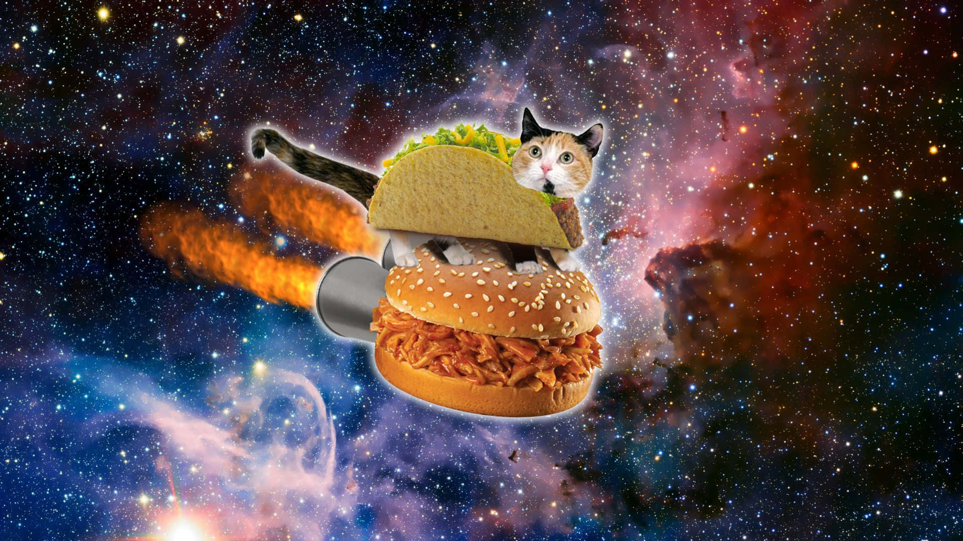 En kat flyver i rummet med en taco i himlen. Wallpaper