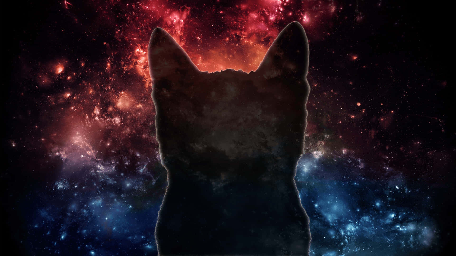 Lacabeza De Un Gato Negro En El Espacio Fondo de pantalla