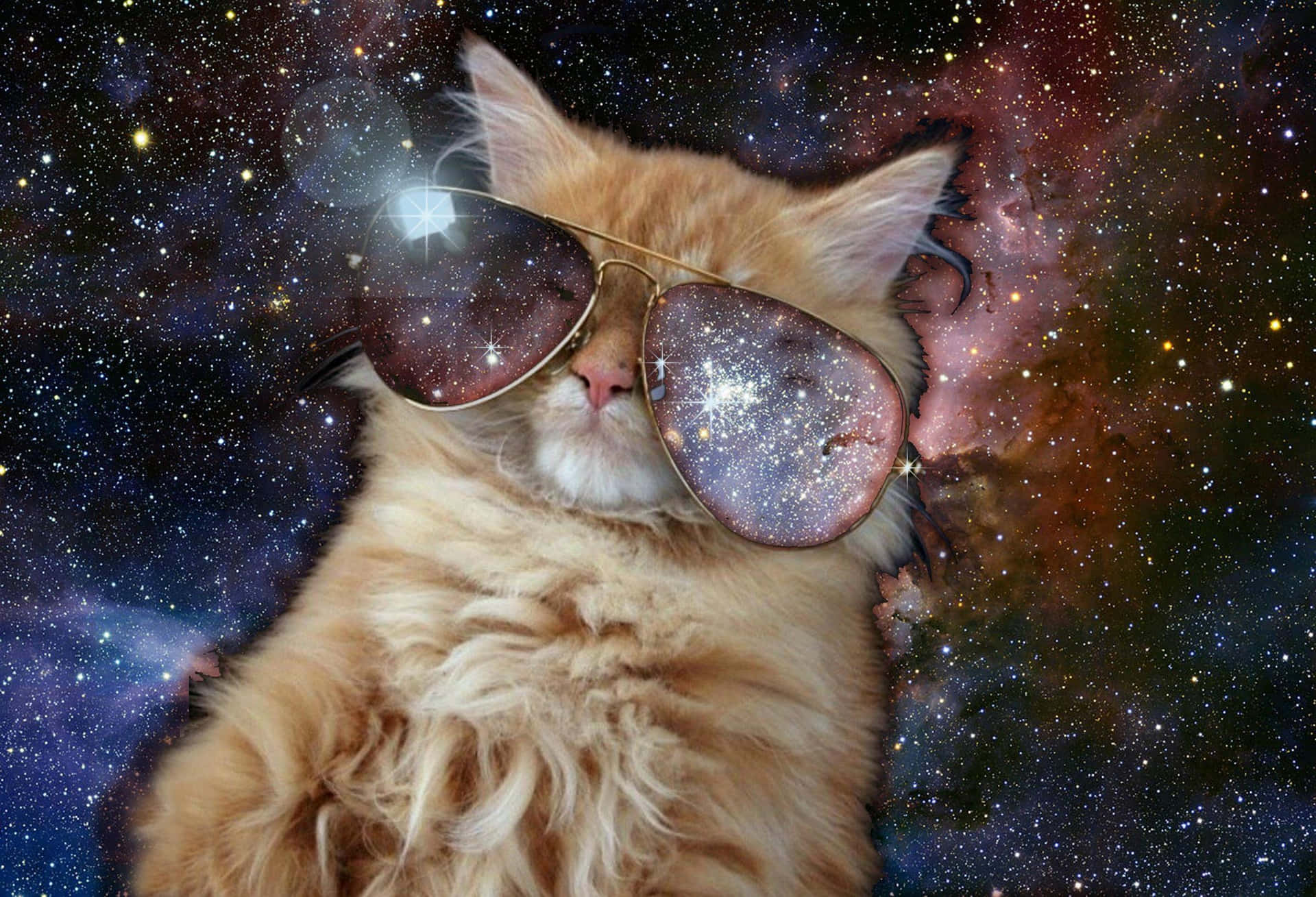 A Cat Wearing Sunglasses In Space Wallpaper
