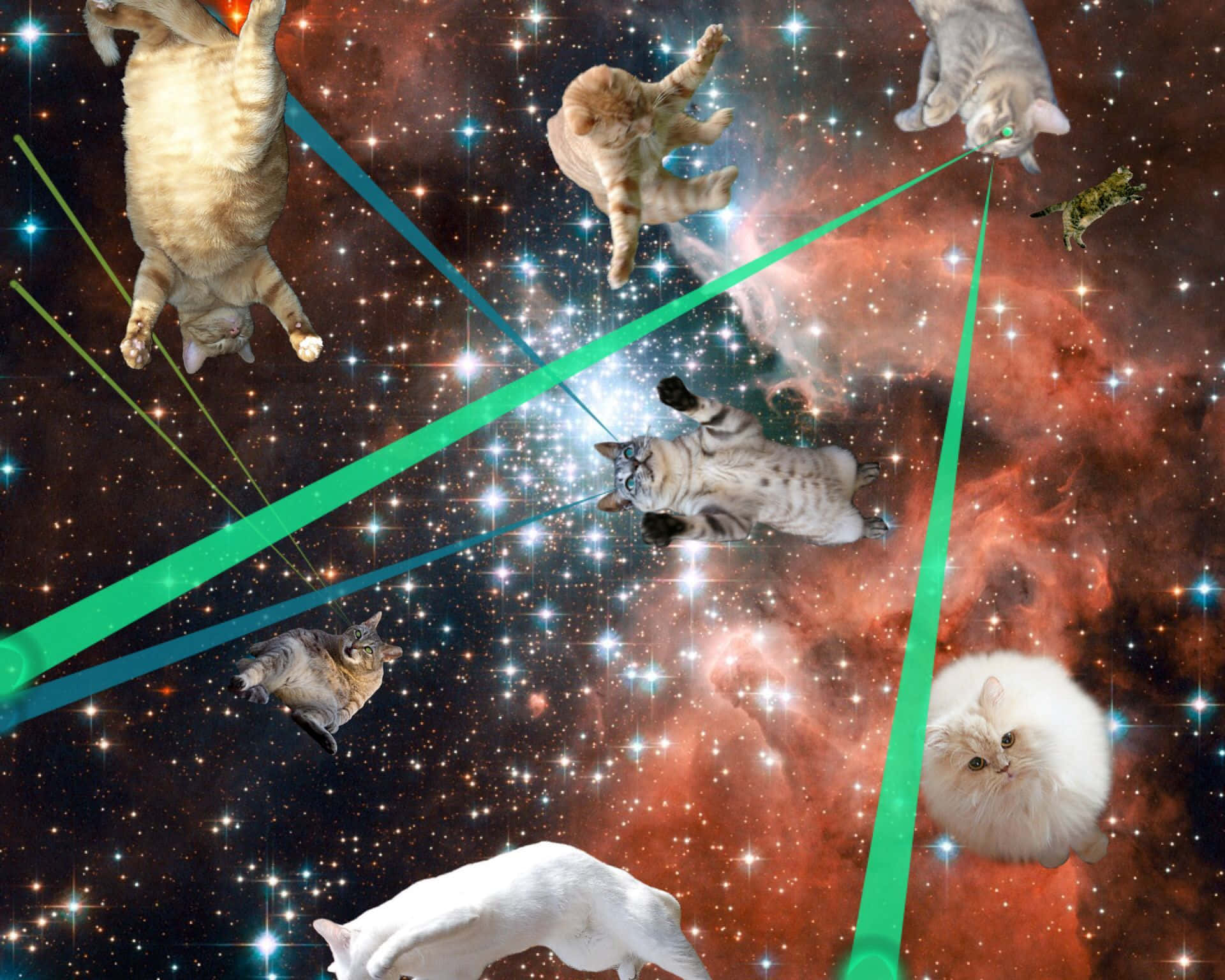 Äventyr,utforskning Och Nu #rymden För Katter Överallt! Wallpaper
