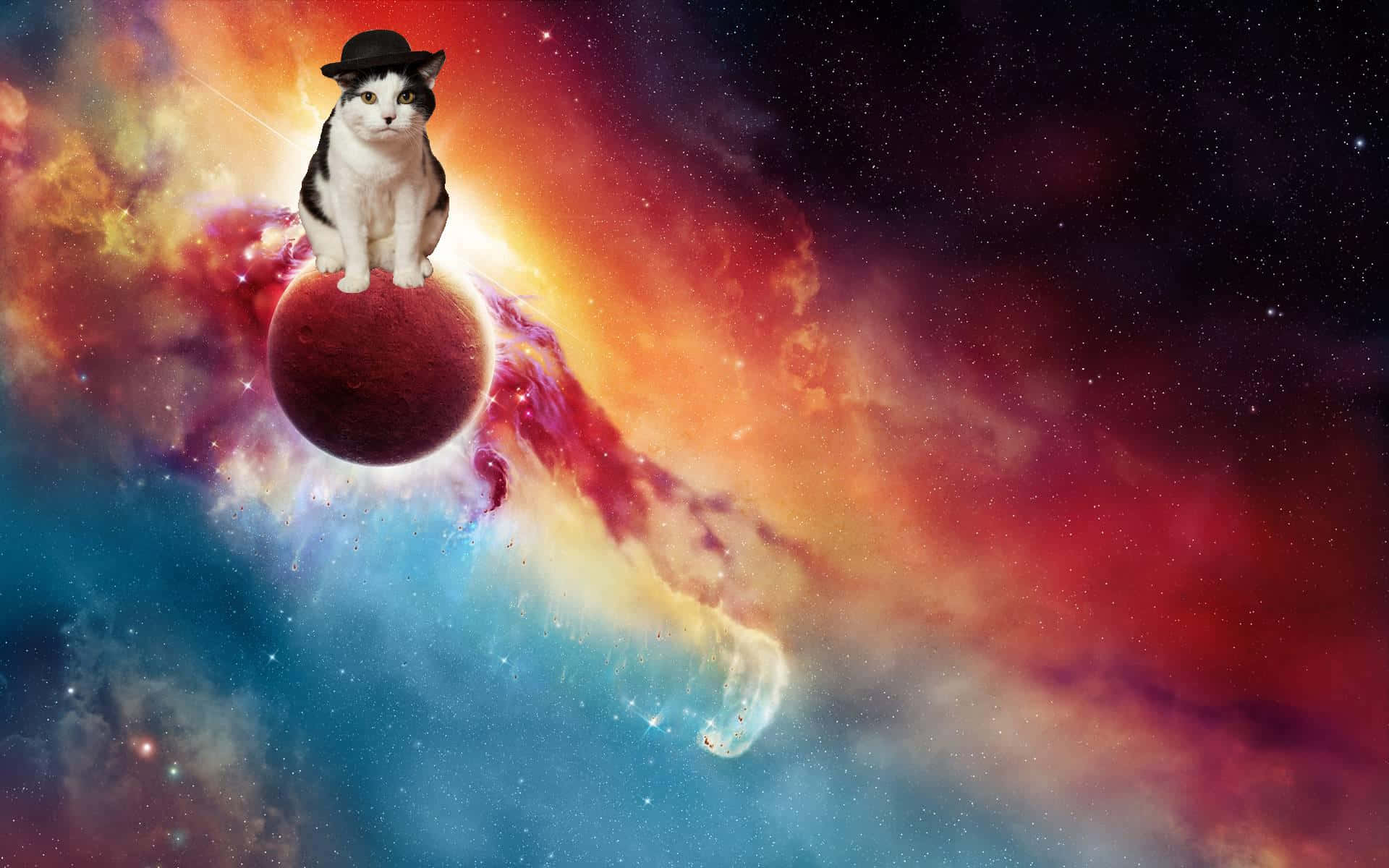 "Exploring a brave new world, cats in space make a daring journey." Wallpaper