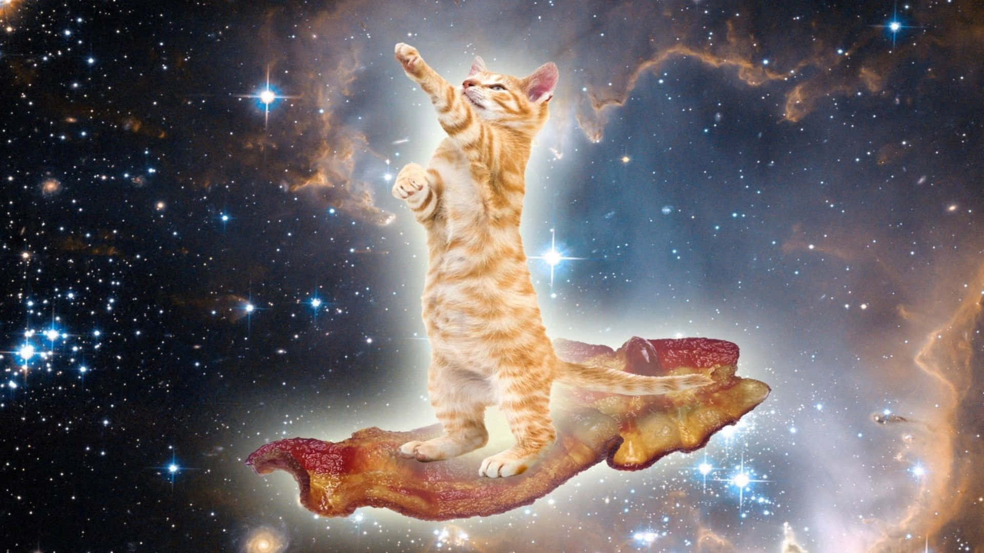Dieperfekt Schnurrenden Abenteurer - Katzen Erkunden Die Unbekannten Tiefen Des Weltraums! Wallpaper