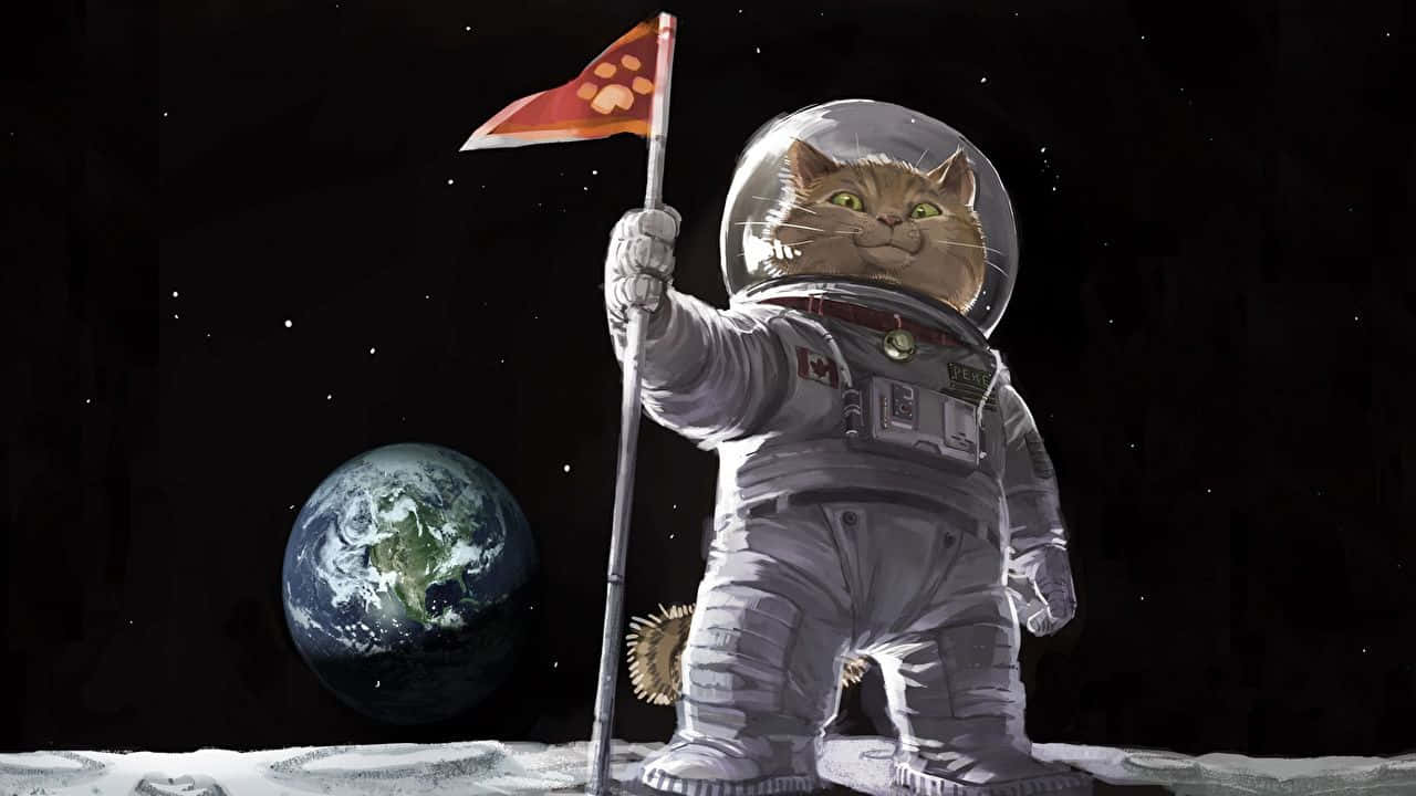 "Exploring the Final Frontier - Cats in Space!" Wallpaper