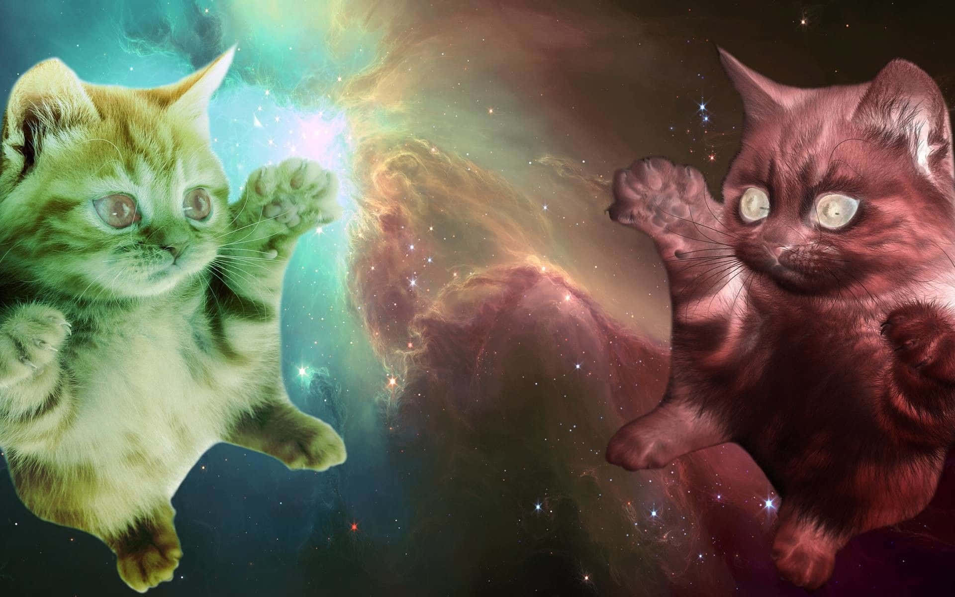 "Two cats explore the depths of the final frontier in search of new adventures". Wallpaper