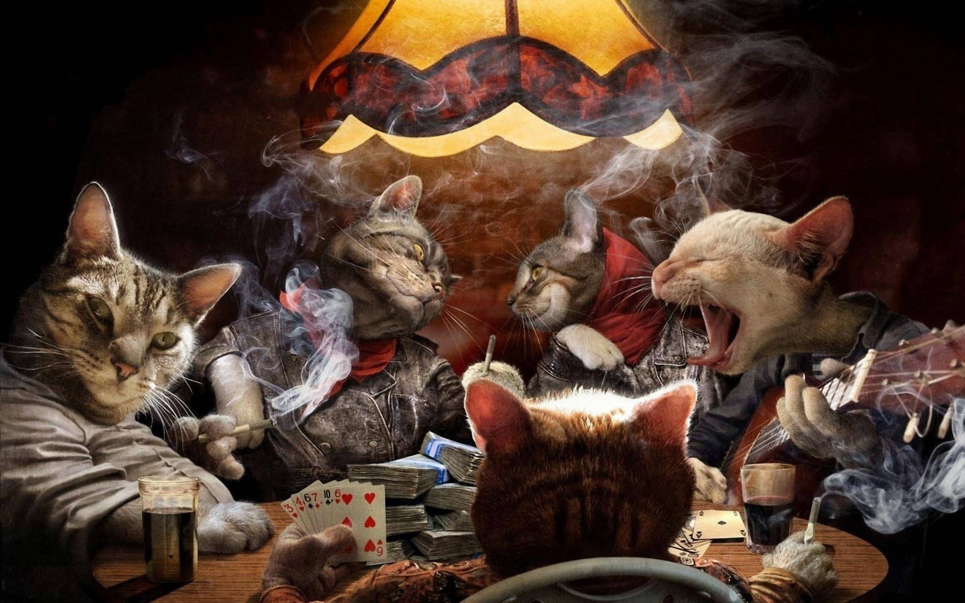 Cats Play Poker Wallpaper