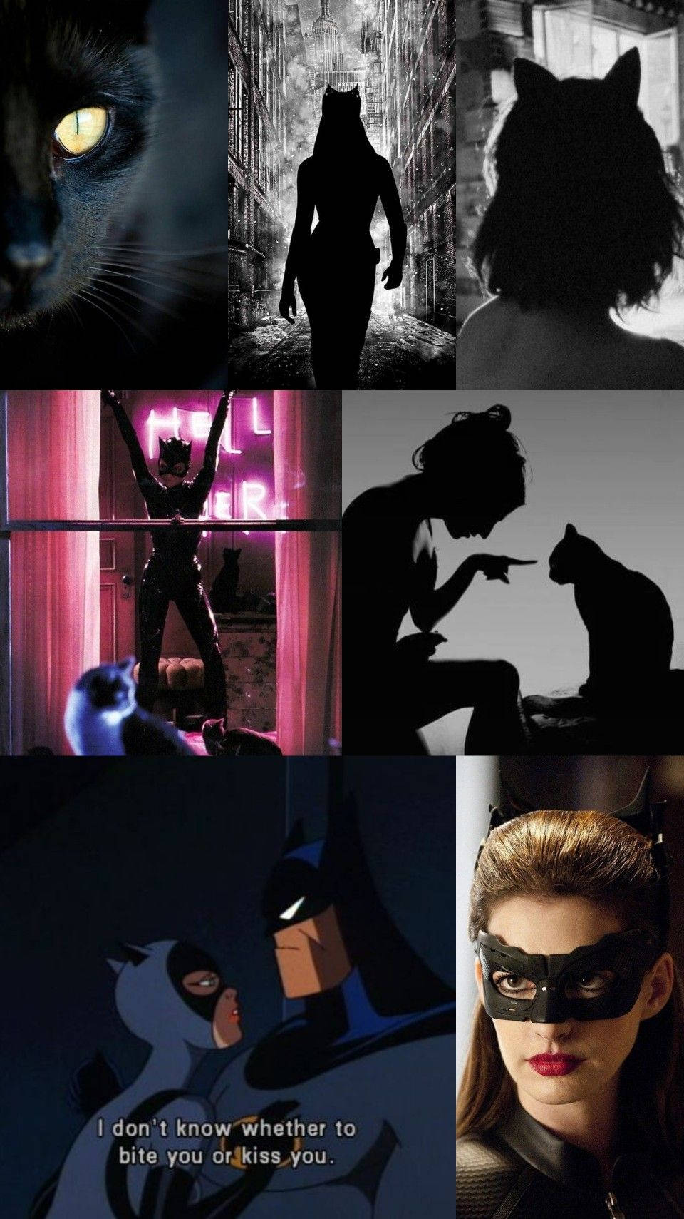 Catwoman Dark Aesthetic Collage Wallpaper