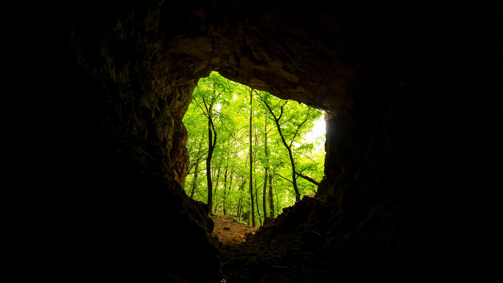 Explore A Hidden Cave