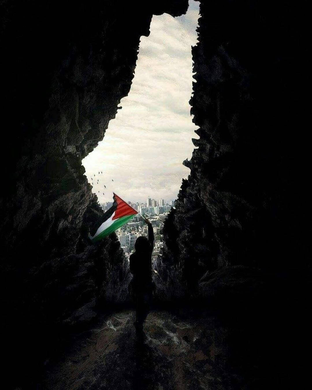 Cave View Of Palestine Flag Wallpaper