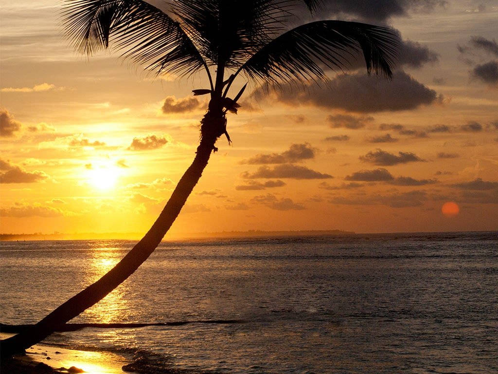 Cayman Island Ved Solnedgang Wallpaper