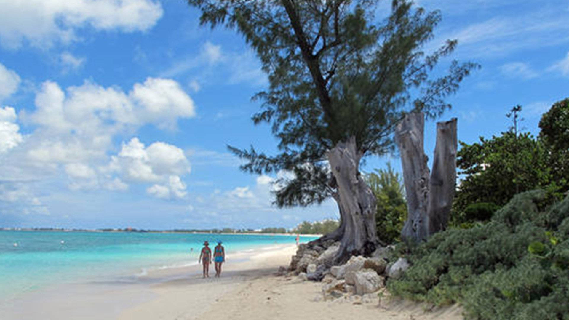 Playagalardonada En Las Islas Caimán Fondo de pantalla
