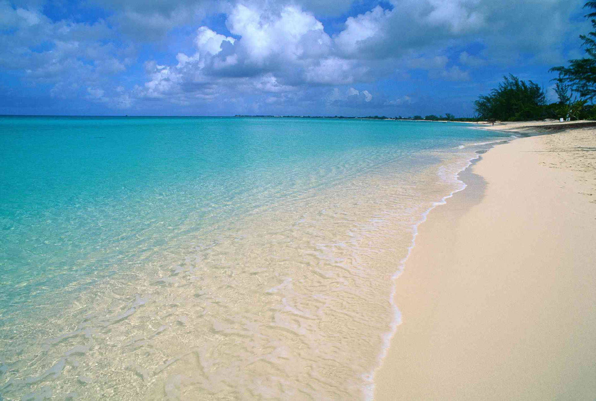 Scenen fra Caribiens bedste Cayman Island-strand Wallpaper